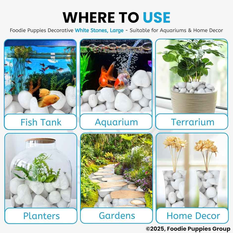 Foodie Puppies White Polished Pebbles Glossy Stones for Aquarium and Fish Tank 2Kg