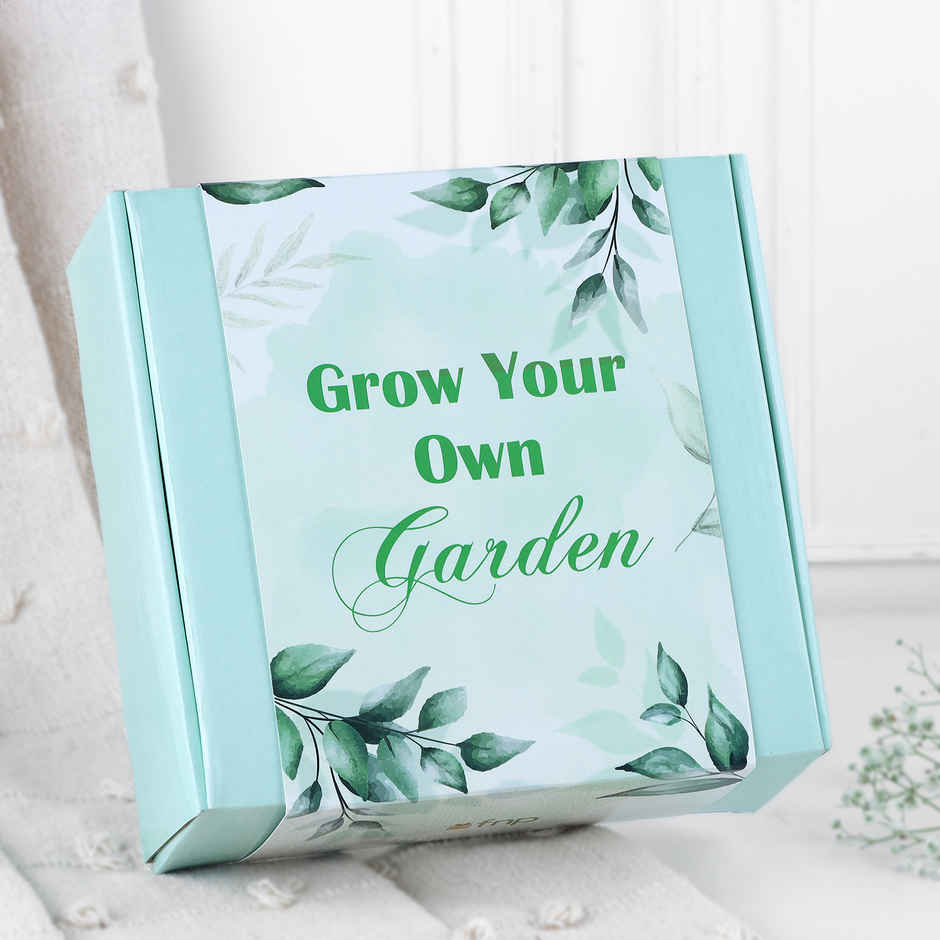 Zen Mini Garden Gift Box | FNP