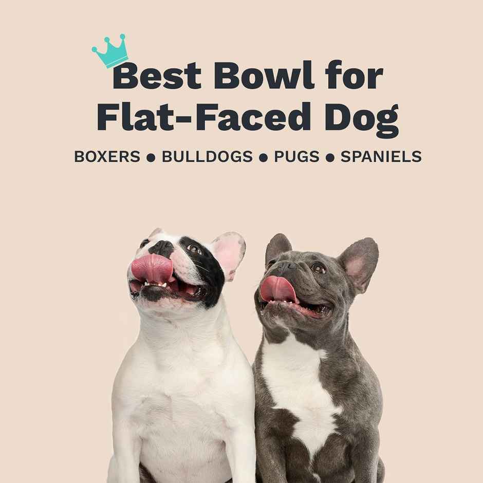 Urbanfix Plain Bowl - Classic Heavy-Duty Food - Water Bowl For Pets | Medium