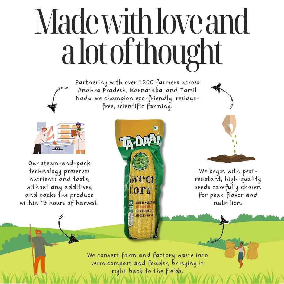 Tadaa Sweet Corn on the Cob Single