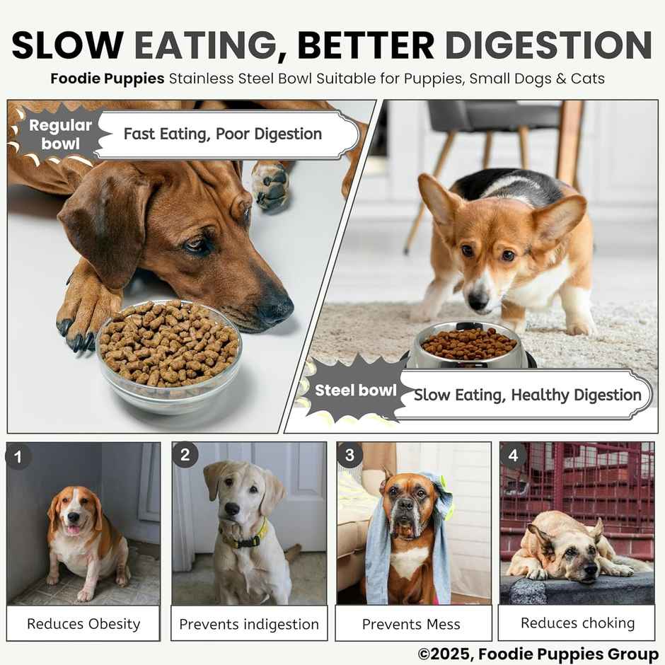 Foodie Puppies Stainless Steel Pet Feeding Bowl for Dogs and Cats | 450 ml