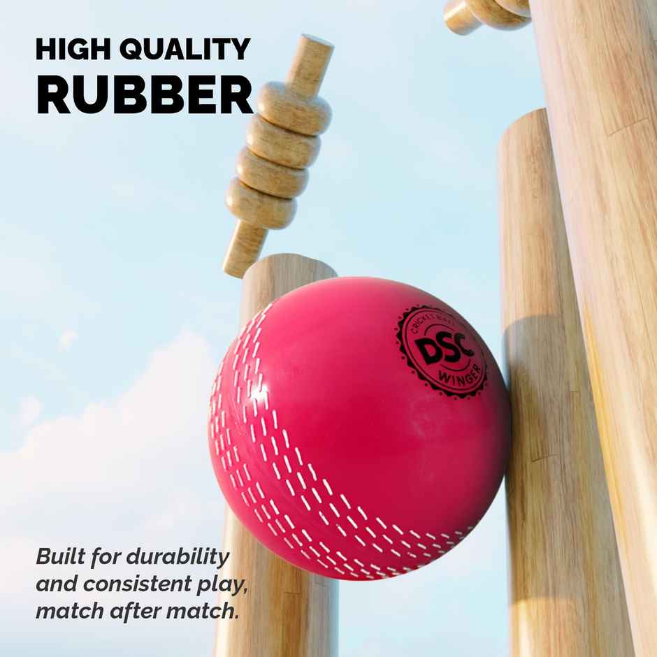 DSC Winger i10 Windball Cricket Pink