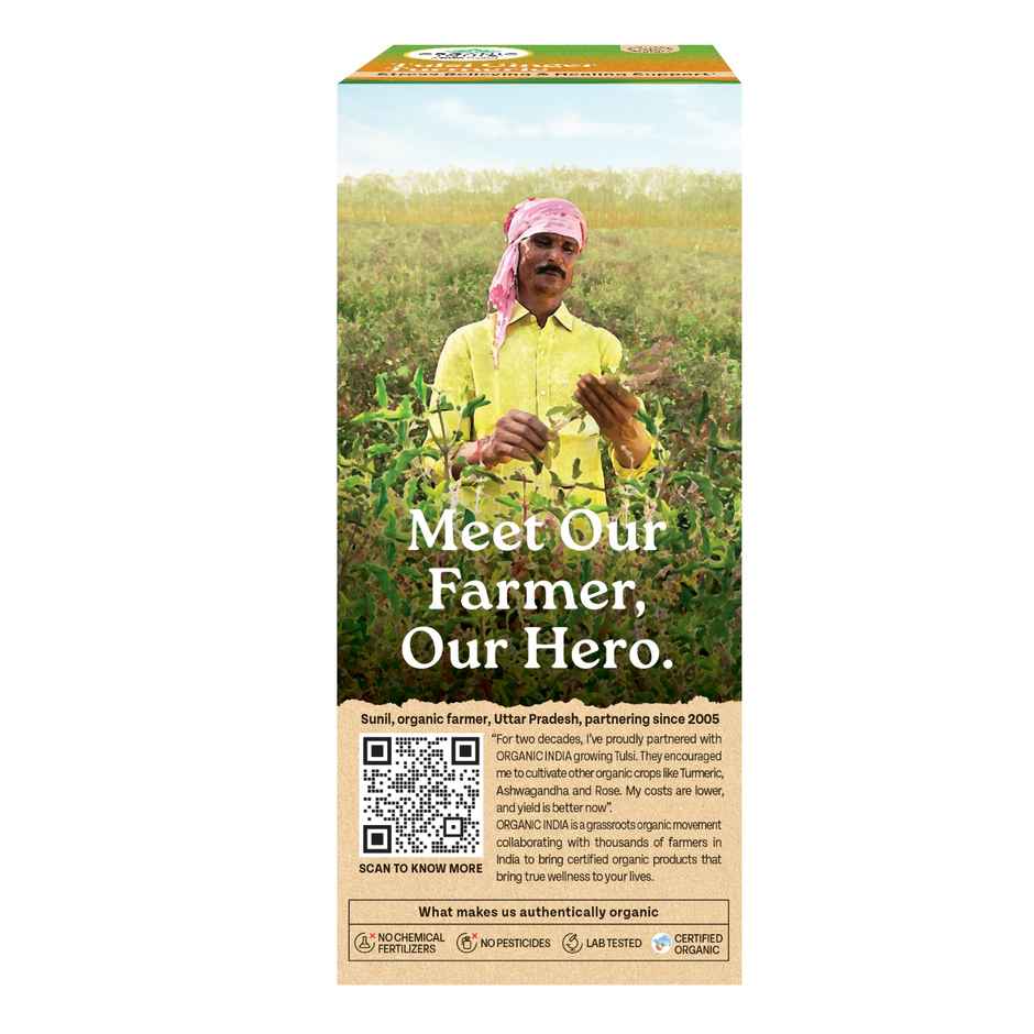 A TATA Product - Organic India Tulsi, Turmeric, Cinnamon, and Pepper Ginger Turmeric - 25 Tea Bags