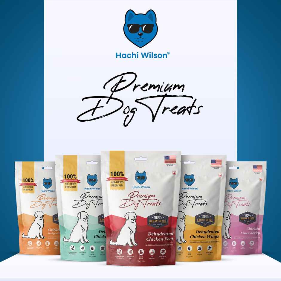 Hachi Wilson Premium Dog Treat Dehydrated Chicken Feet