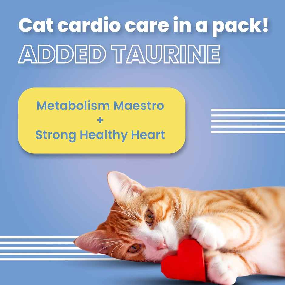 Bark Out Loud Cat Treat - Hairball Control Cat Pillows with Taurine & Vitamin E (Made in Spain)