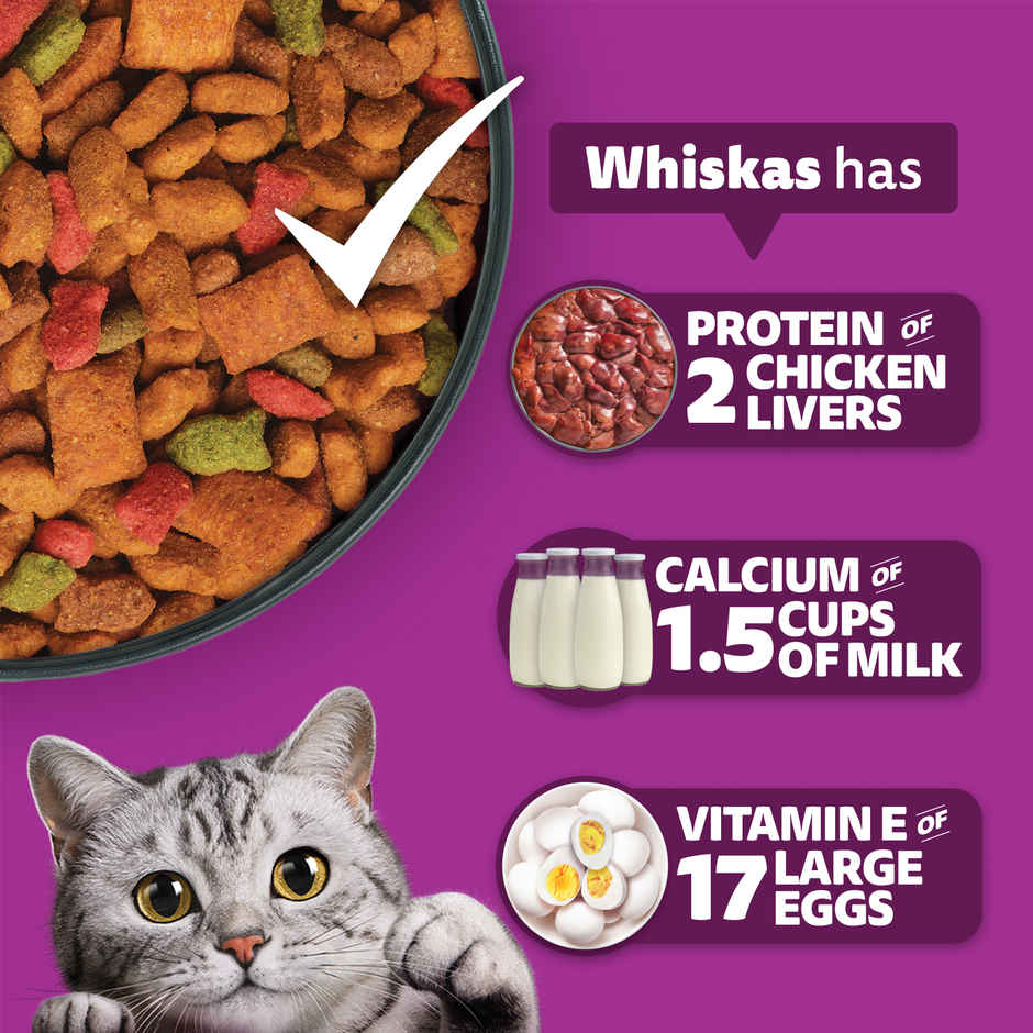 Whiskas Adult Dry Cat Food 1 Plus Years Catla Fish Flavour