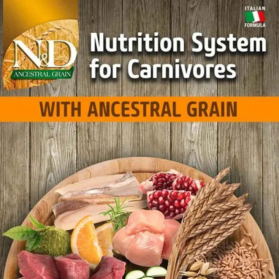 N & D Dog Ancestral Grain Chicken And Pomegranate Adult Medium - Maxi Selection