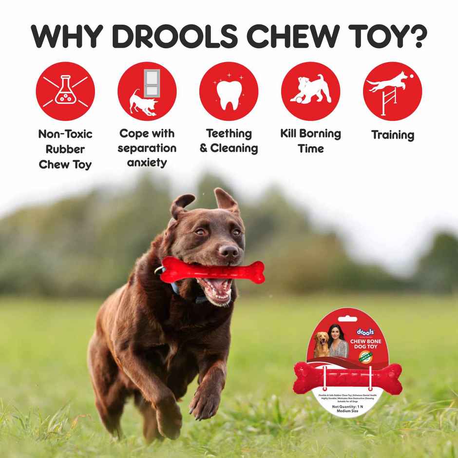 Drools Non-Toxic Rubber Dog Toy, Puppy/Dog Teething Toy (Medium) - 5 inches