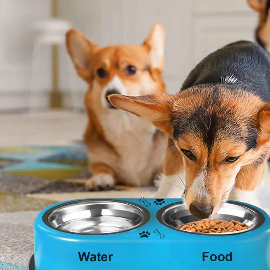 Urbanfix Colour Pet Bowl Set (L) | Vibrant Non-Slip Feeding Bowl Set for Dogs & Cats, Easy to Clean