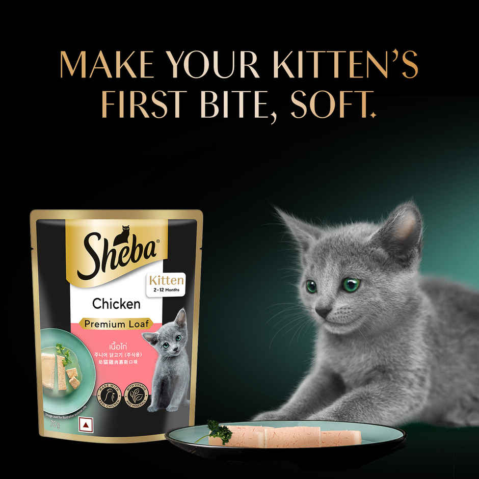 Sheba Fine Kitten Chicken Premium Loaf Wet Cat Food