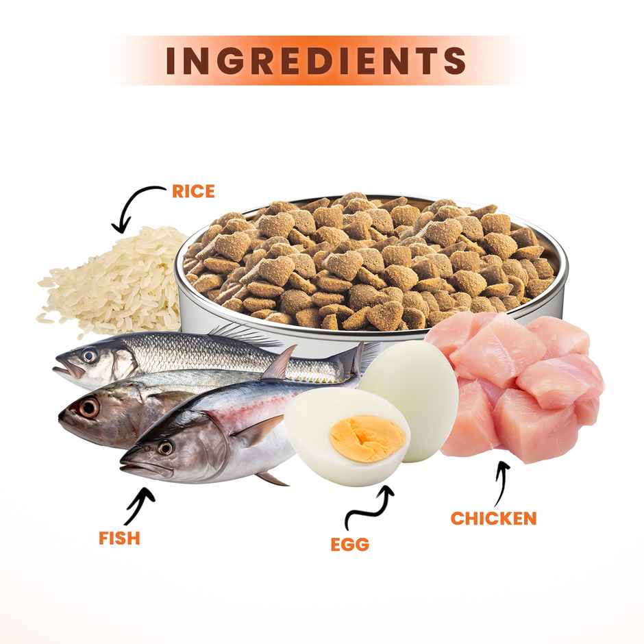 LICKICIOUS Adult Cat Ocean Fish & Chicken | Dry Cat FOOD