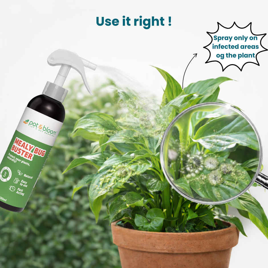 Pot And Bloom Mealy Bug Buster