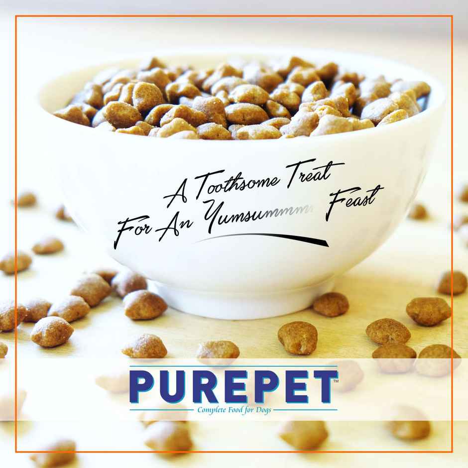 Purepet Mackerel Adult Cat FOOD