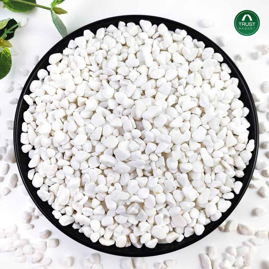 Trustbasket White Pebble Chips (Small) - 1 Kg
