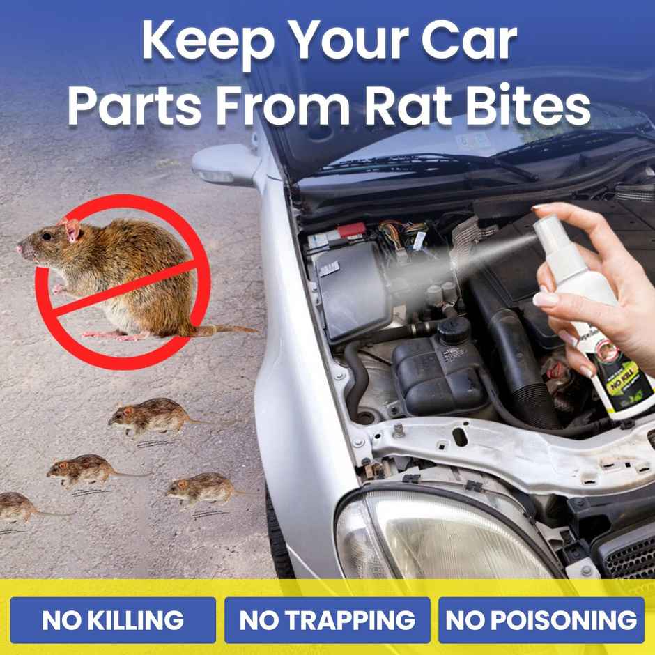 Mr. Right Herbal Rat Repellent Spray for Car & Home | Chemical-Free
