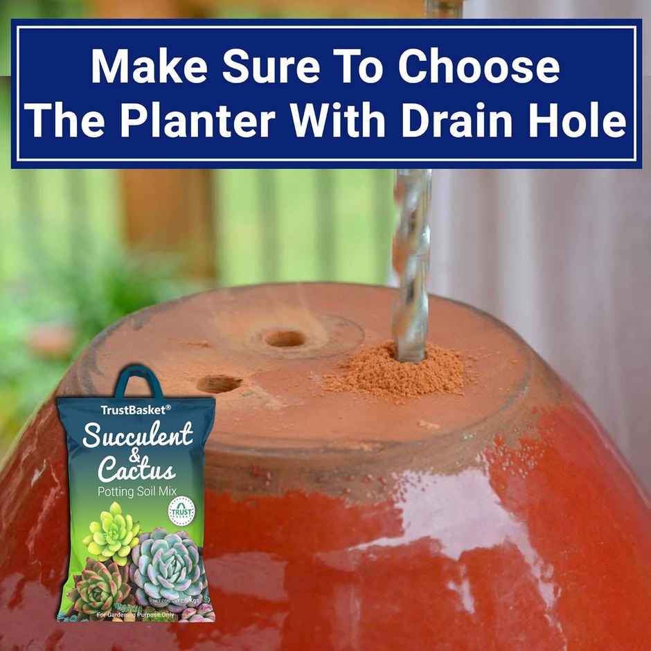 TrustBasket Succulent Potting Mix | Well-Drained Soil for Cactus, Pots & Planters