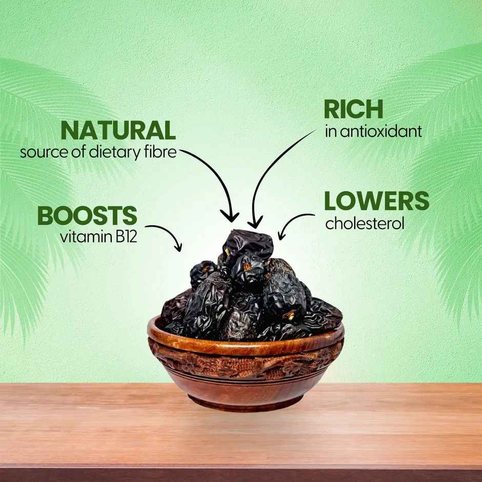 Lion Desert King Dates