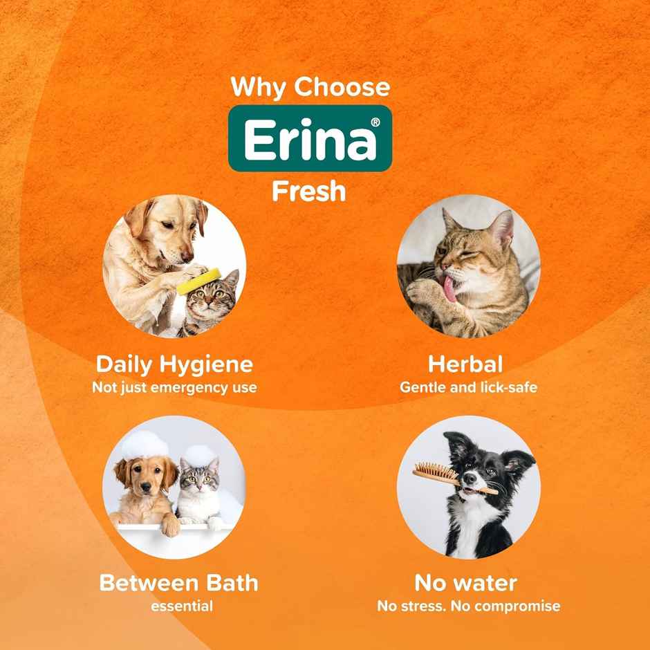 Himalaya Erina Fresh Rinse-Free Foam Cleanser & Dry Shampoo | Aloe Vera, Basil, Tea Tree Oil
