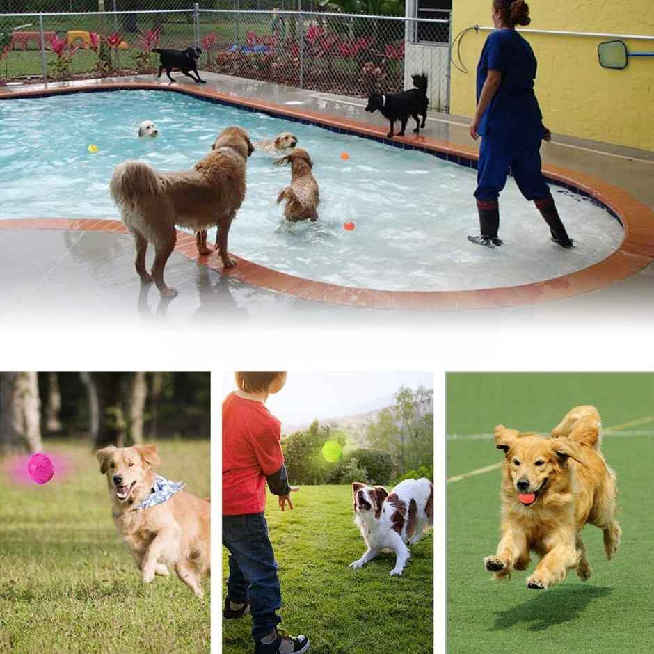 Urbanfix Squeaky Pet Toy Interactive No-Stuffing Toy for Small & Medium Breeds - Assorted