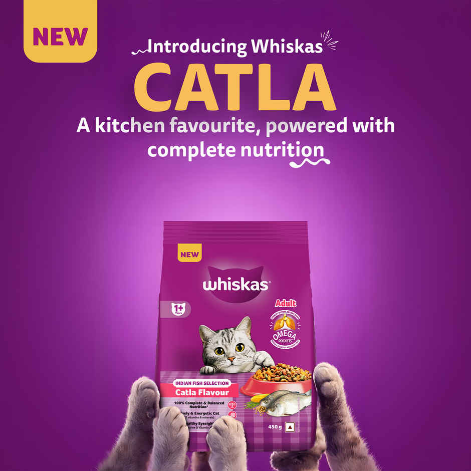 Whiskas Adult Dry Cat Food 1 Plus Years Catla Fish Flavour