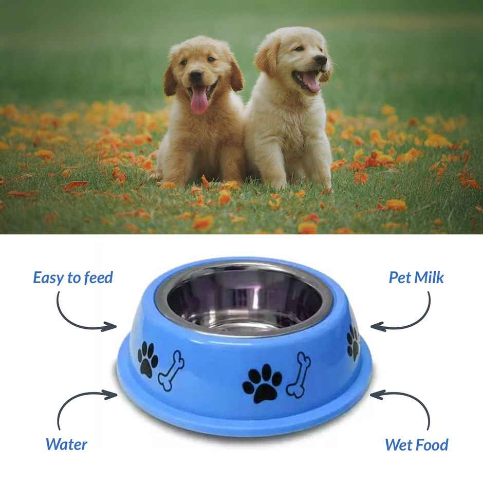 Urbanfix Printed Bowl - Stylish | Durable Feeding Bowl With Non-Tip Base | Medium