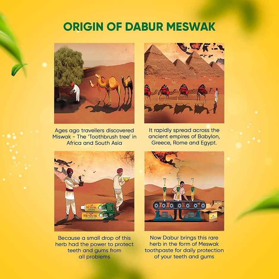 Dabur Meswak Pure Miswak Extract Toothpaste Combo  