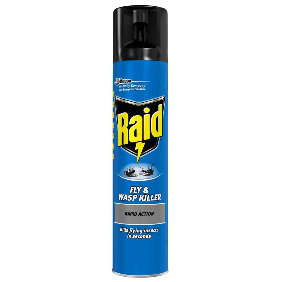 Raid Fly and Wasp Killer Spray
