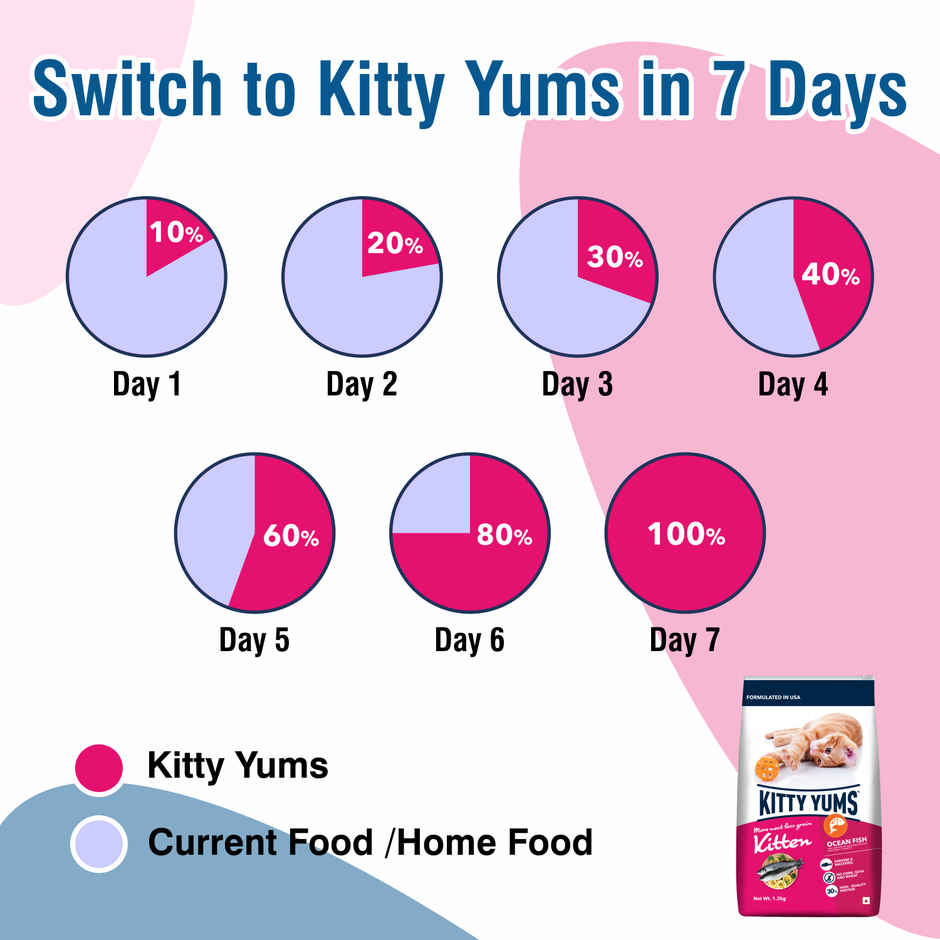 Kitty Yums Kitten Dry Cat Food Ocean Fish with Free Container