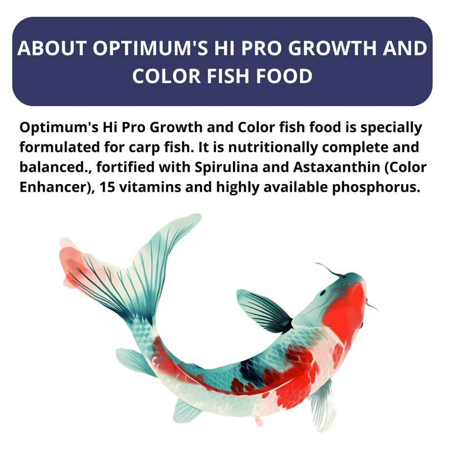 Optimum Hi-Pro Colour & Growth Large Specialist's Koi Food