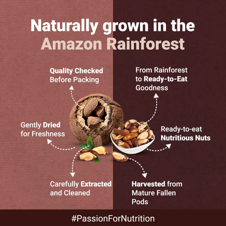 Nutraj Bactopure Brazil Nuts | Monocarton