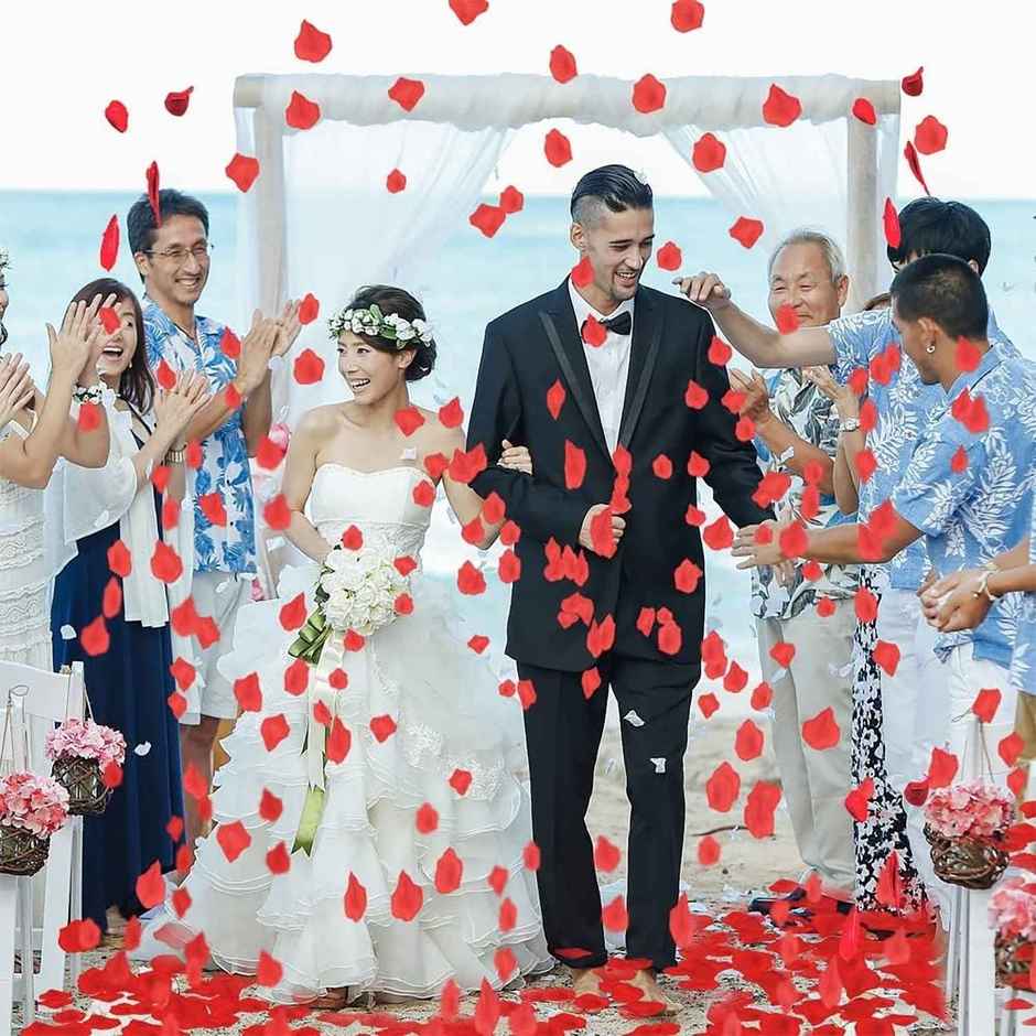 Party Poppers Fancy | Rose Petals | 30 cm | Party Propz