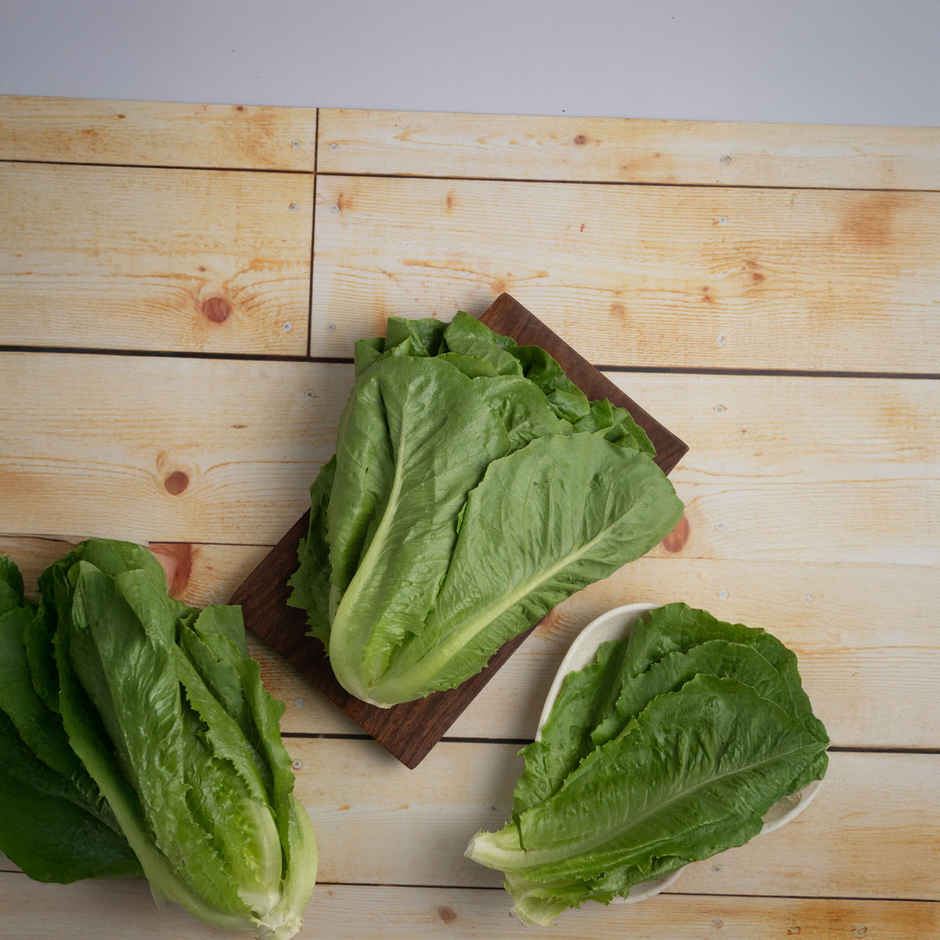 Lettuce Romaine