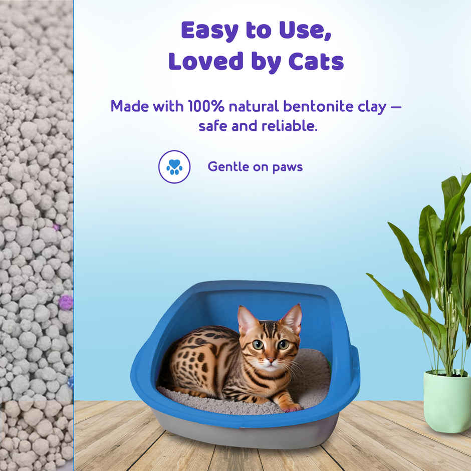 Petoska Bentonite Cat Litter | Lavender Fragrance