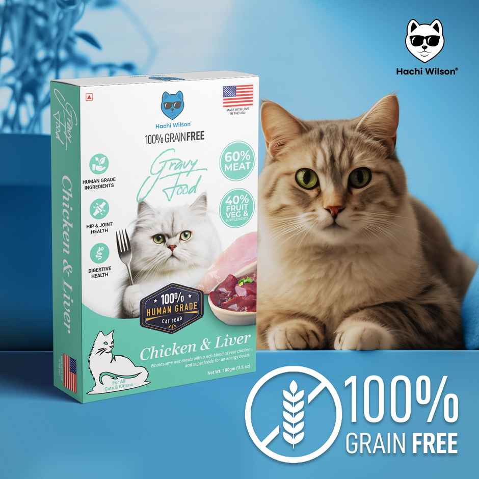 Hachi wilson Premium Chicken and Liver Gravy Cat Food