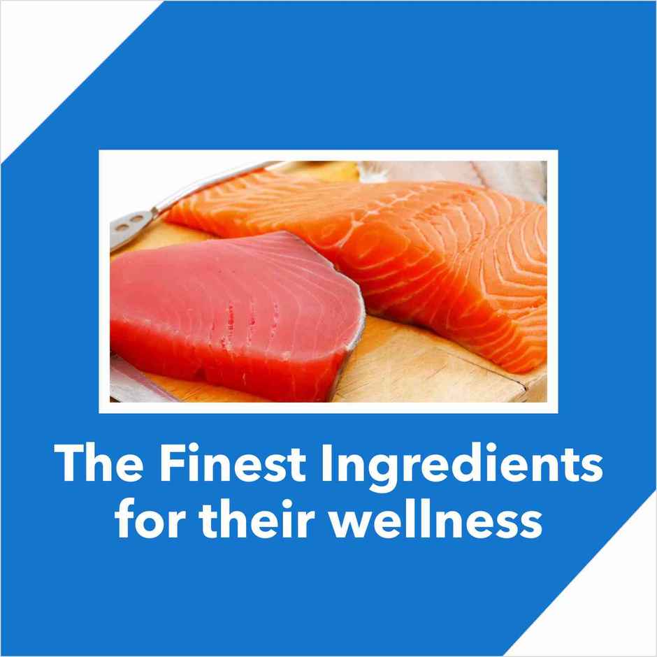 Drools Mackerel Adult Dry Cat Food