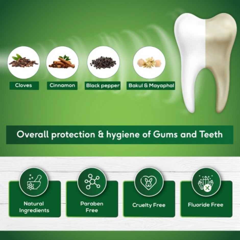 Sri Sri Tattva Sudanta paste Tooth Paste 200g