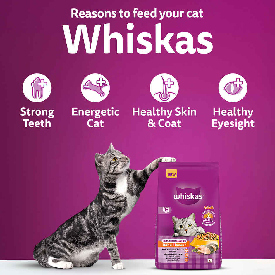 Whiskas Adult Dry Cat Food 1 Plus Years Rohu Fish Flavour