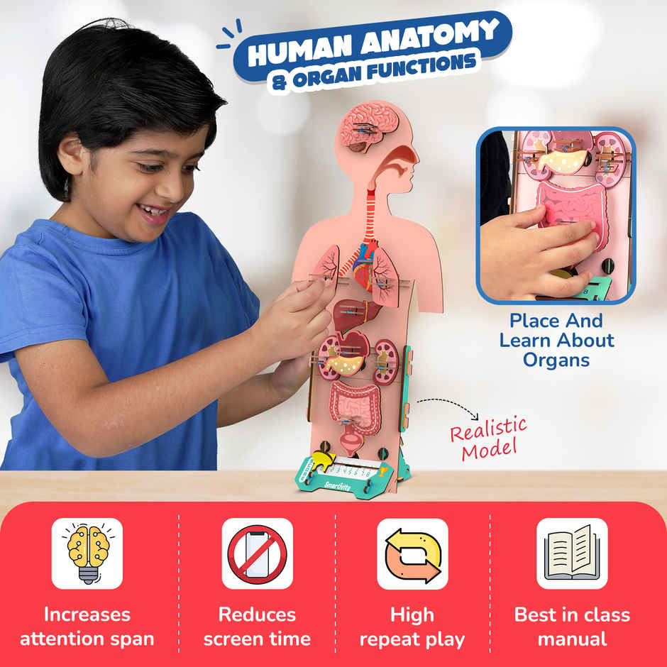 Smartivity DIY Human Body Model with Organ Card Games, Fun & Educational Toy