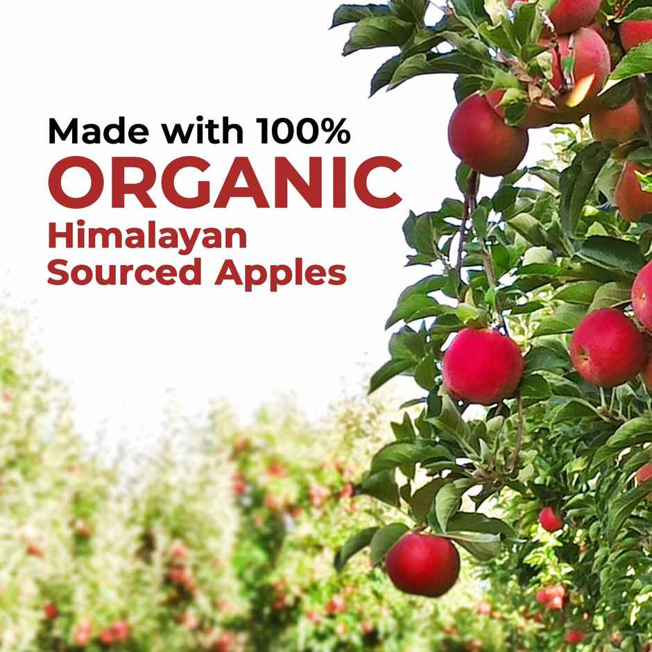 Zandu Organic Apple Cider Vinegar