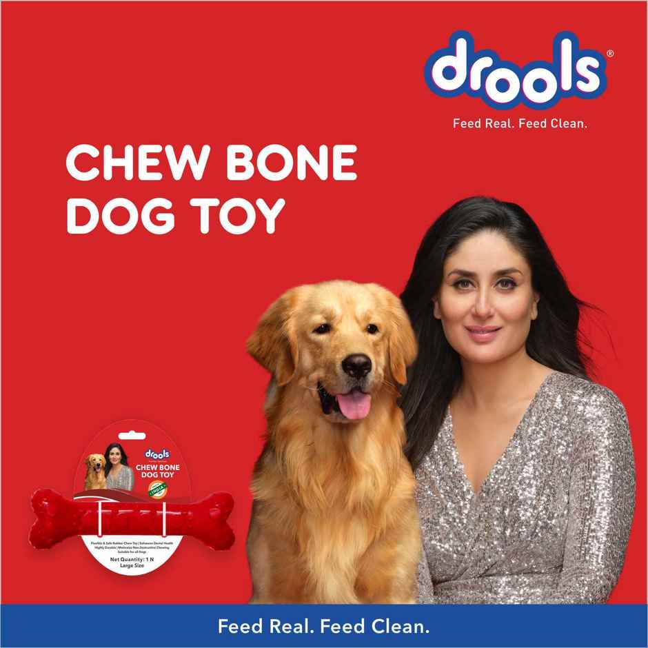 Drools Non-Toxic Rubber Dog Chew Bone Toy, Puppy/Dog Teething Toy (Large) - 8.5 inches