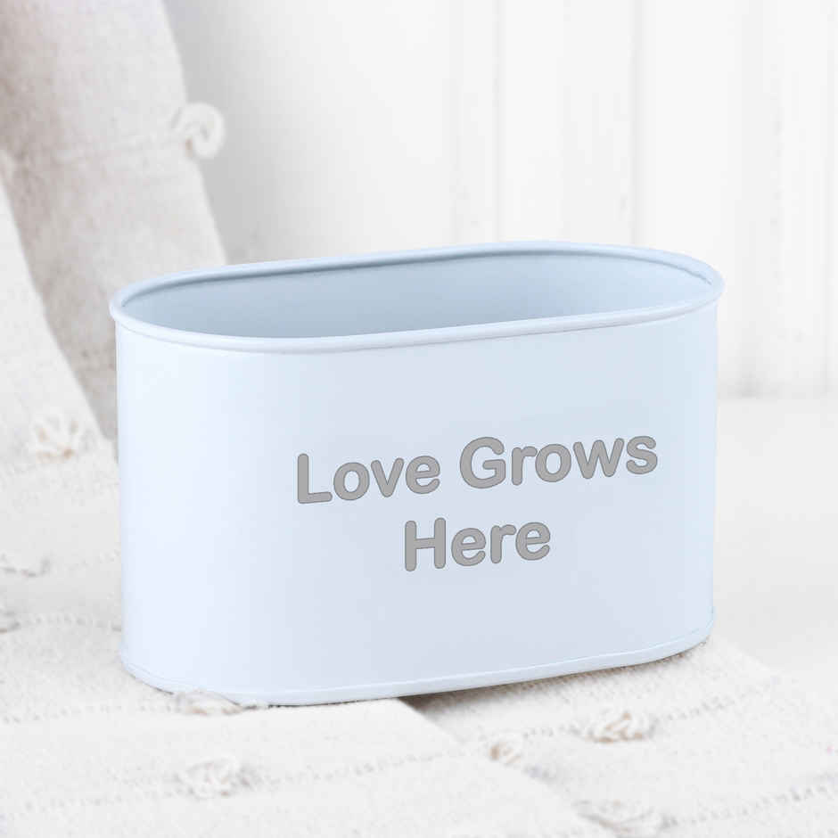 Zen Mini Garden Gift Box | FNP