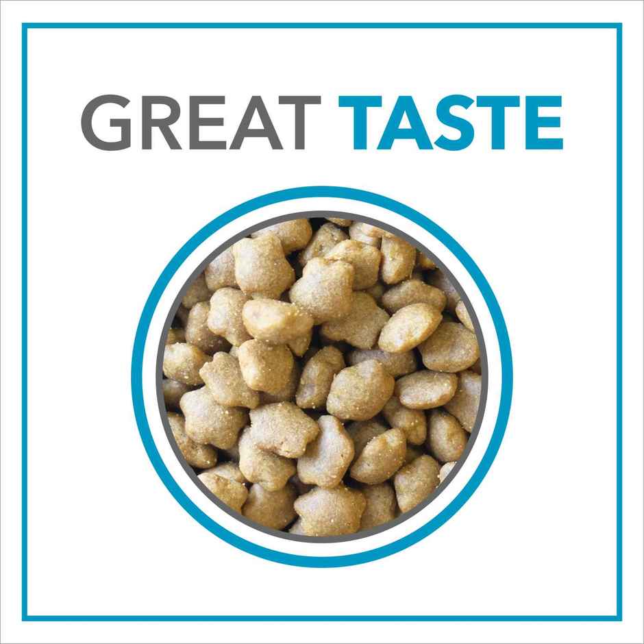 Purepet Ocean Fish Kitten Dry Cat Food