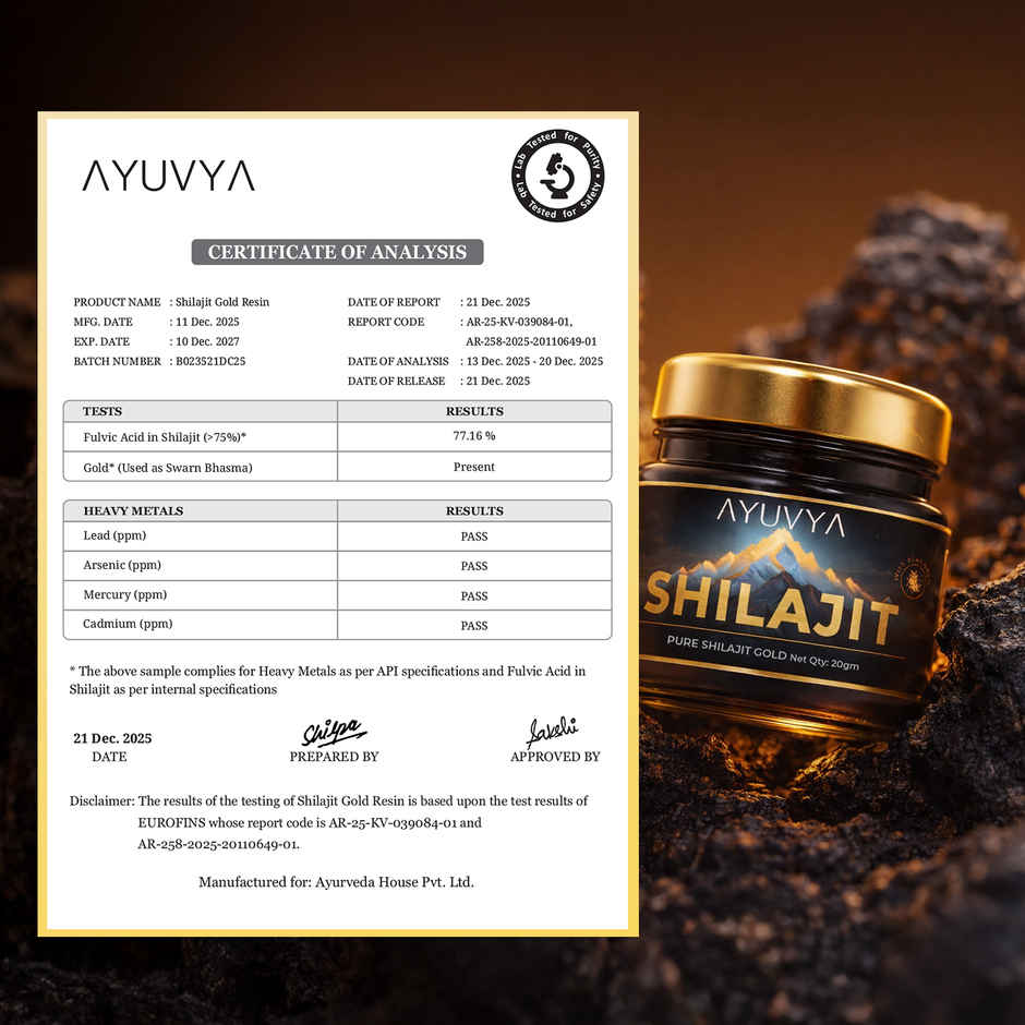 Ayuvya Shilajit Resin | High Quality & Pure