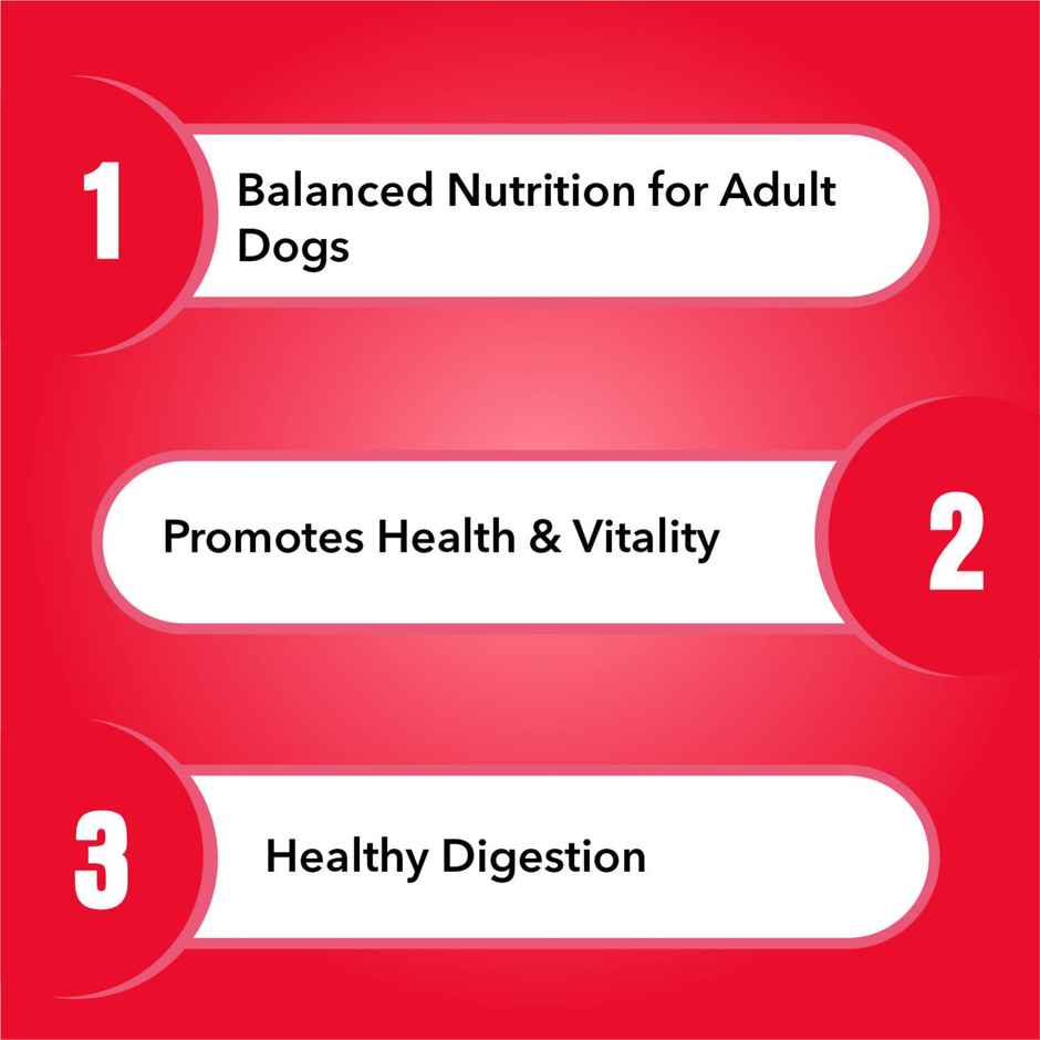 Purepet Meat And Rice Adult Dog FOOD