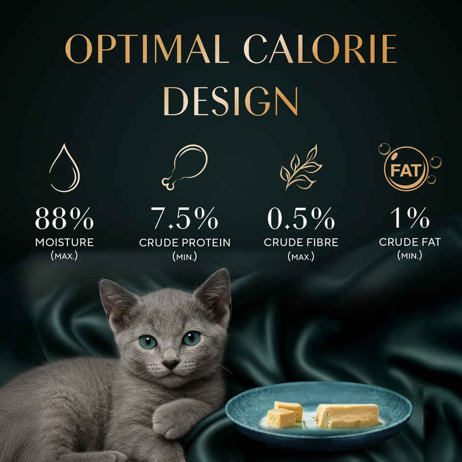 Sheba Pate Kitten Wet Cat Food | Maguro