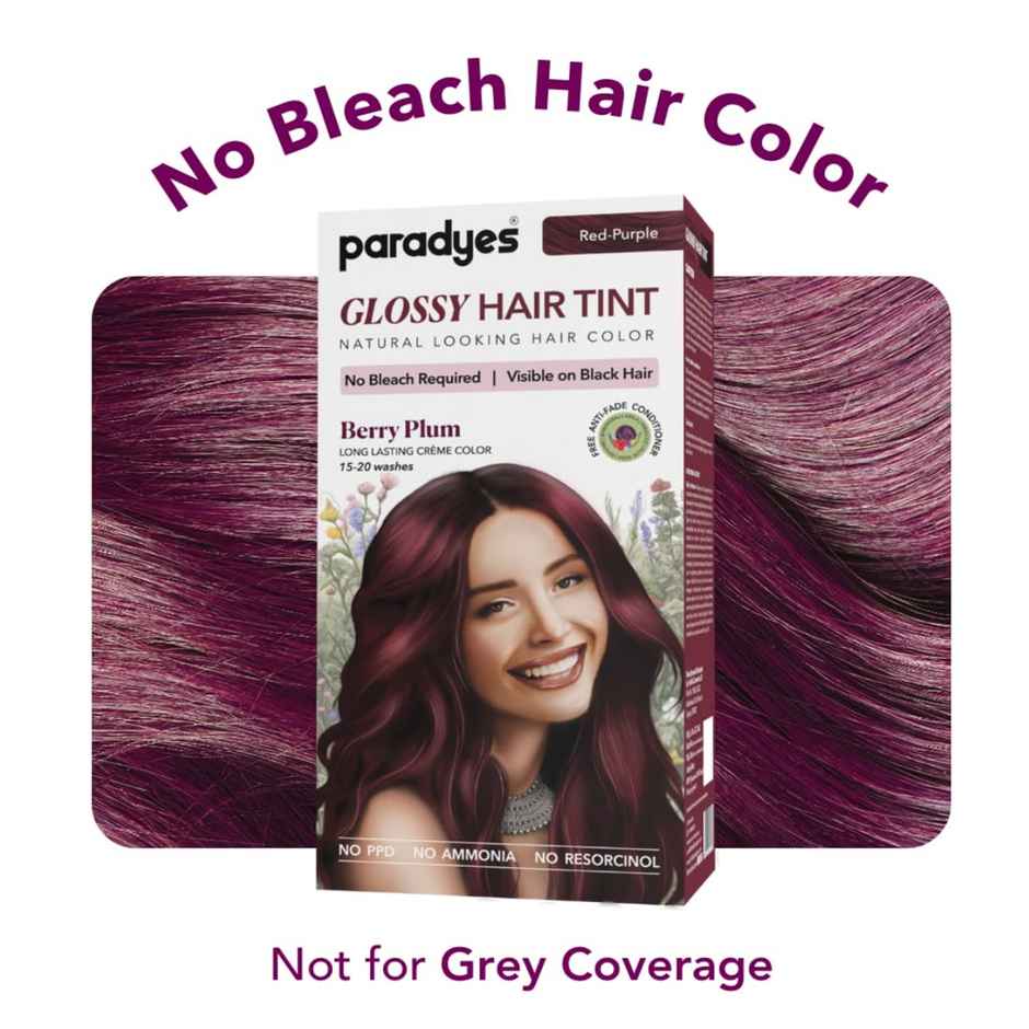 Paradyes No Bleach Berry Plum Glossy Hair Tint