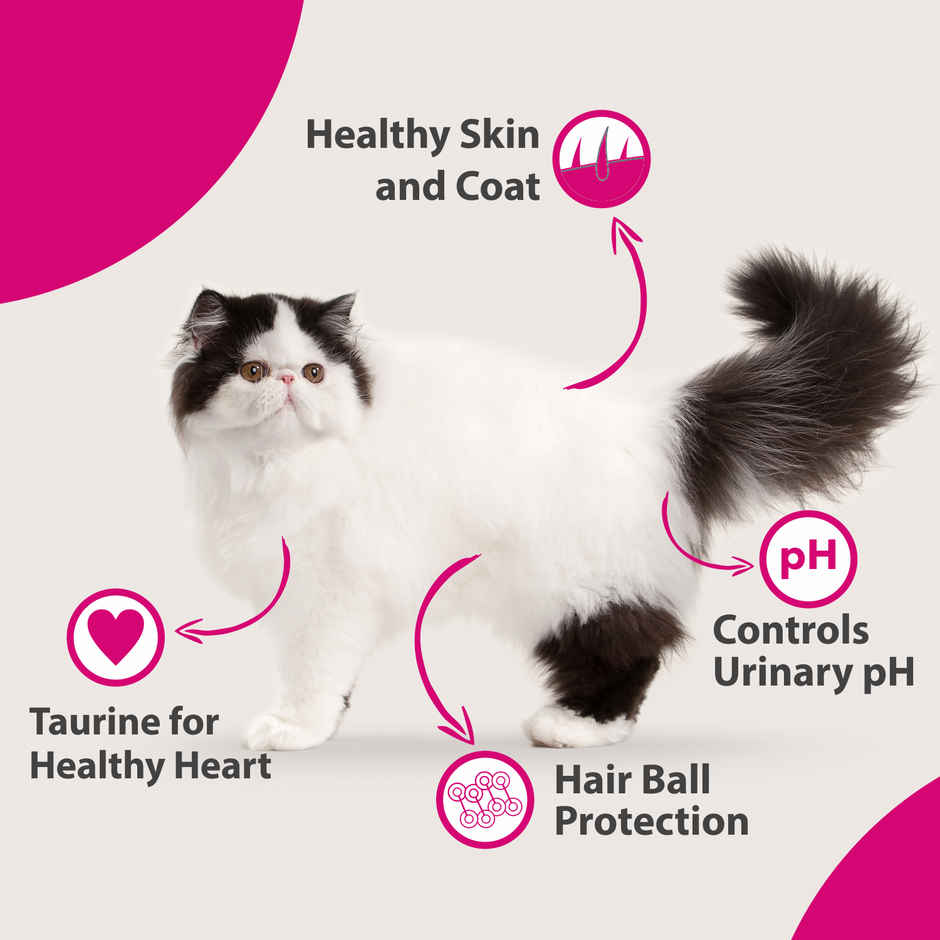 Maxi Persian Ocean Fish Dry Cat FOOD