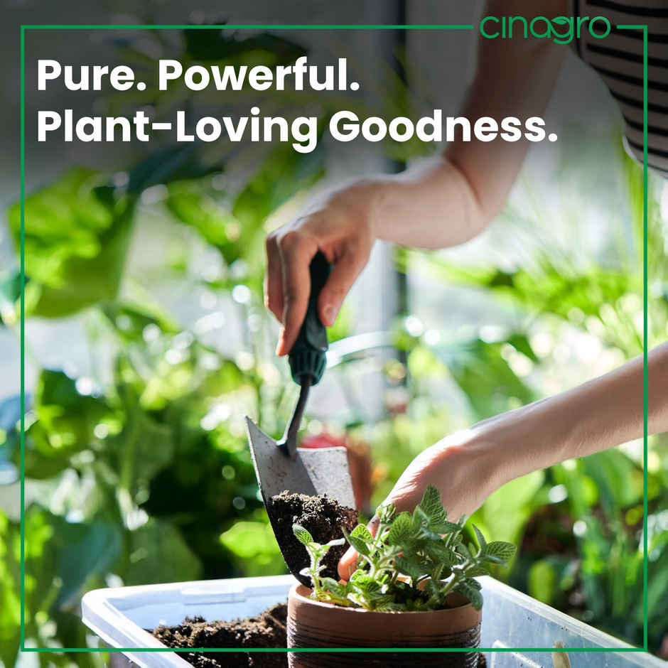 Cinagro Organic Manure Plant Fertilizer, Cow Dung Compost, Releases Phosphorus & Potassium