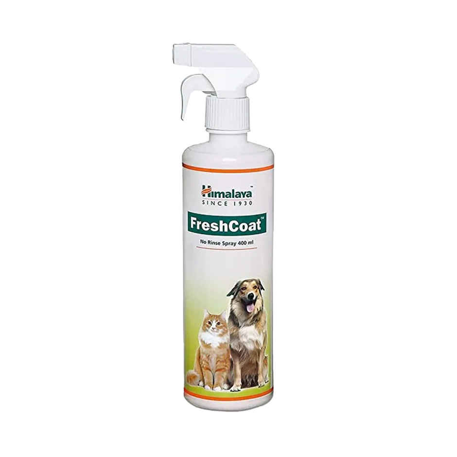 Himalaya Fresh Coat