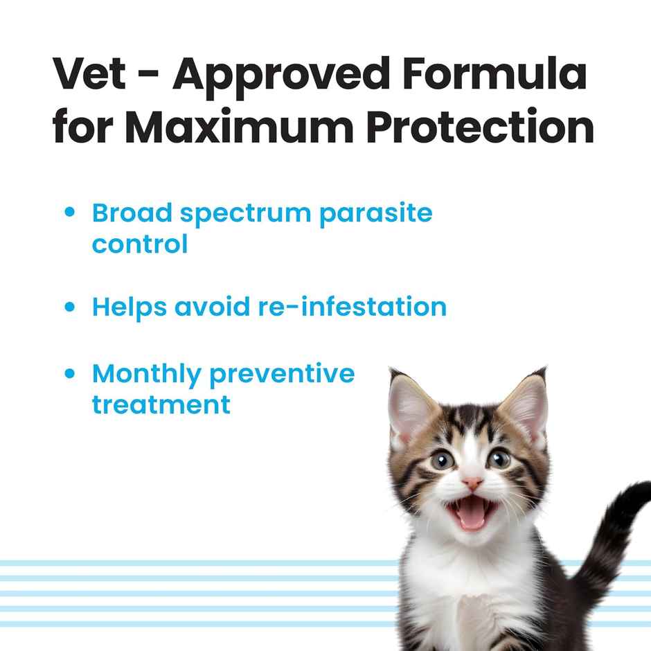 Vivaldis Spot On For Cats, Kittens- Fipronil Tick, Flea, Lice Control | Monthly Preventive Treatment (0.5ml) & Vivaldis Vi-Fi Forte-Tick, Flea, Lice Spray For Dogs, Cats, Kitten & Puppies With Fipronil (100ml) Combo